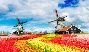 Du lịch Hà Lan có gì hấp dẫn mà thu hút du khách đến thế